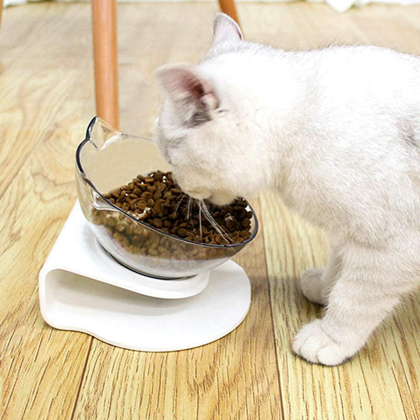 Anti-Vomiting Cat Bowl