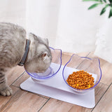 Anti-Vomiting Cat Bowl