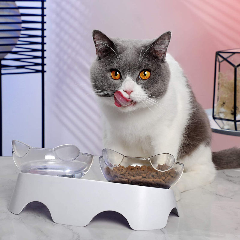 Anti-Vomiting Cat Bowl