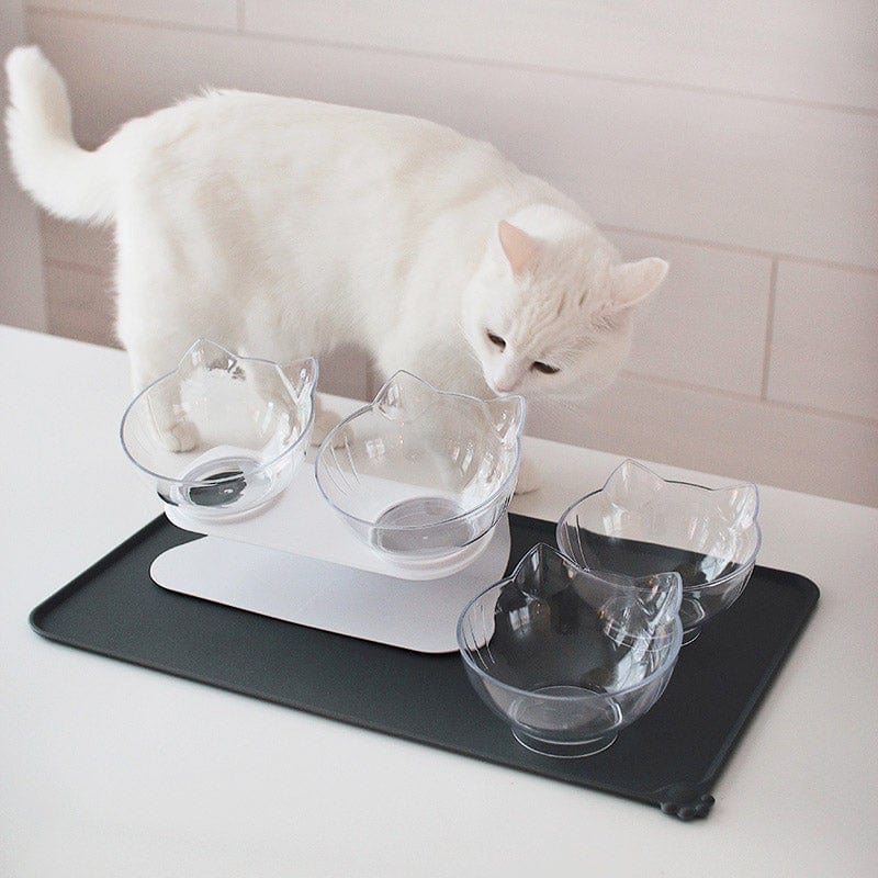 Anti-Vomiting Cat Bowl