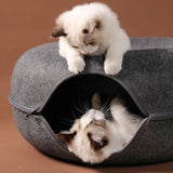 Cat Tunnel Bed